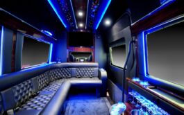 Sprinter Limousine insterior