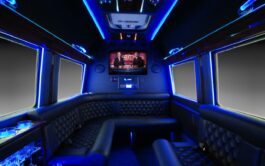 Sprinter Limousine interior 2